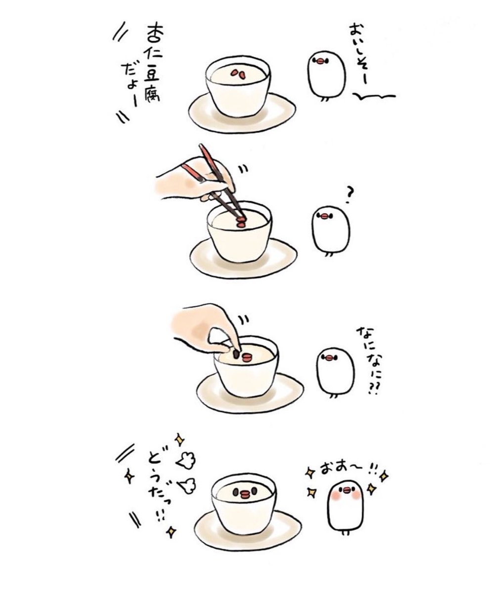 明日も20〜21時にイラスト投稿します🐦
『杏仁豆腐とぶんちょ』(再掲) 