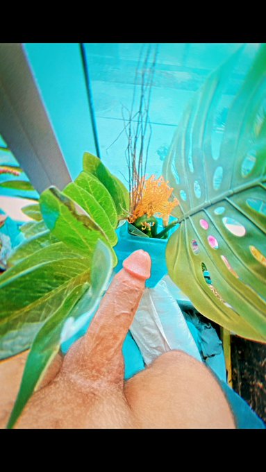 w/ this weather now a days, this how I&rsquo;m trying to enjoy my time, some company would be nice 😏 join me<a href="/tag/myxanniversary"class="tags"><span>#myxanniversary</span></a>