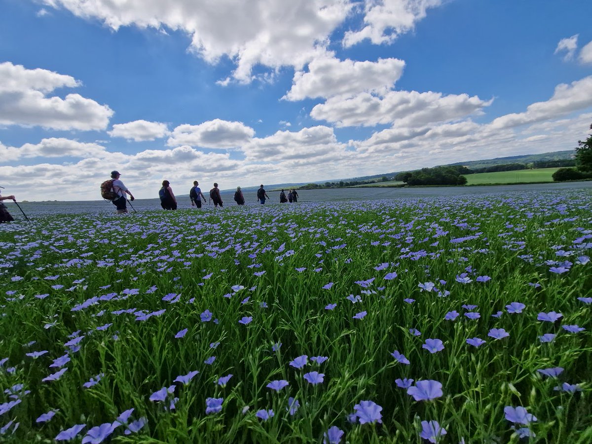 BootsOnAdventu1's tweet photo. πΏβ¨ Have you explored the beautiful part of the North Downs Trail between Otford and Cuxton yet? Last Sunday's adventure with a group along this scenic route was absolutely amazing! πΆββοΈπΆββοΈ
#OtfordToCuxton #ScenicTrail #NatureAdventure #GroupWalk https://t.co/cNzoQvArgv
