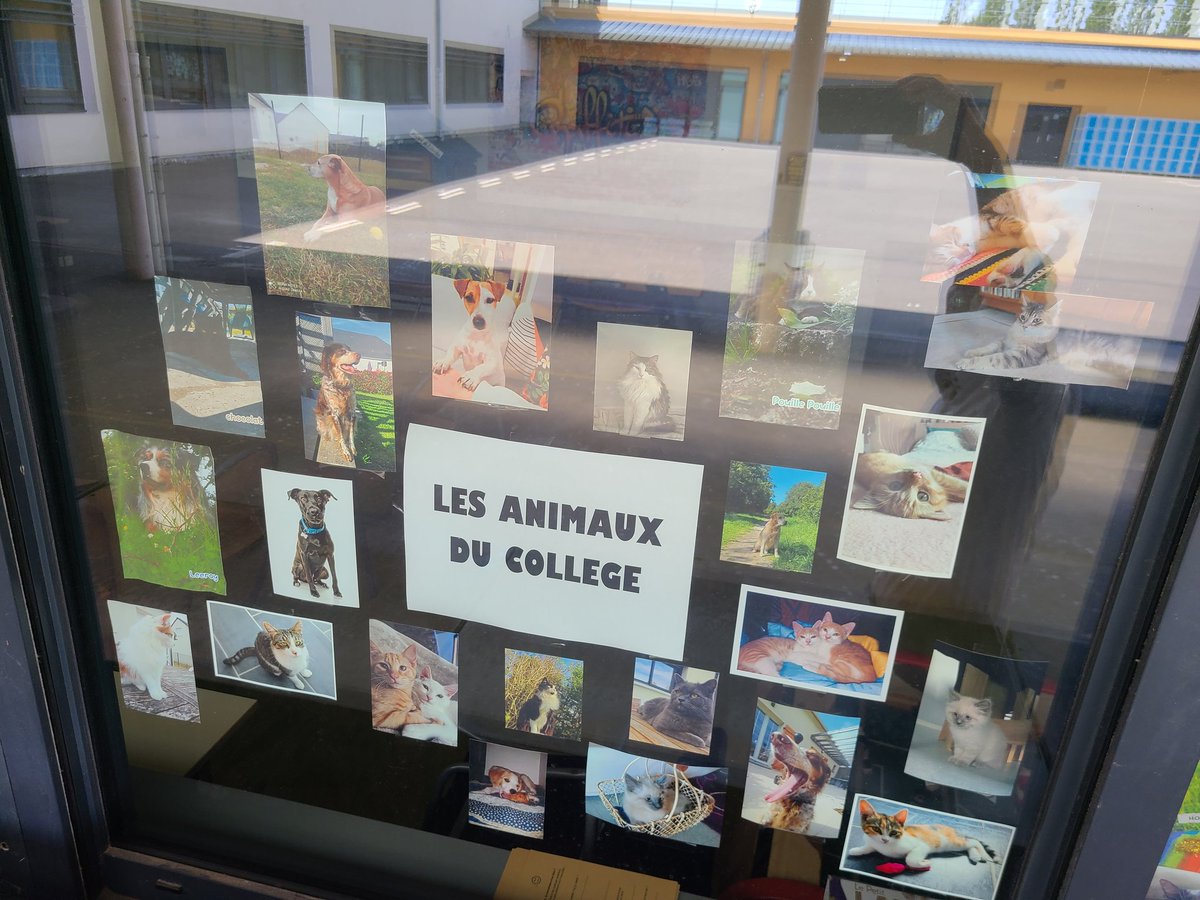 Collège de la forêt - Trainou tweet media