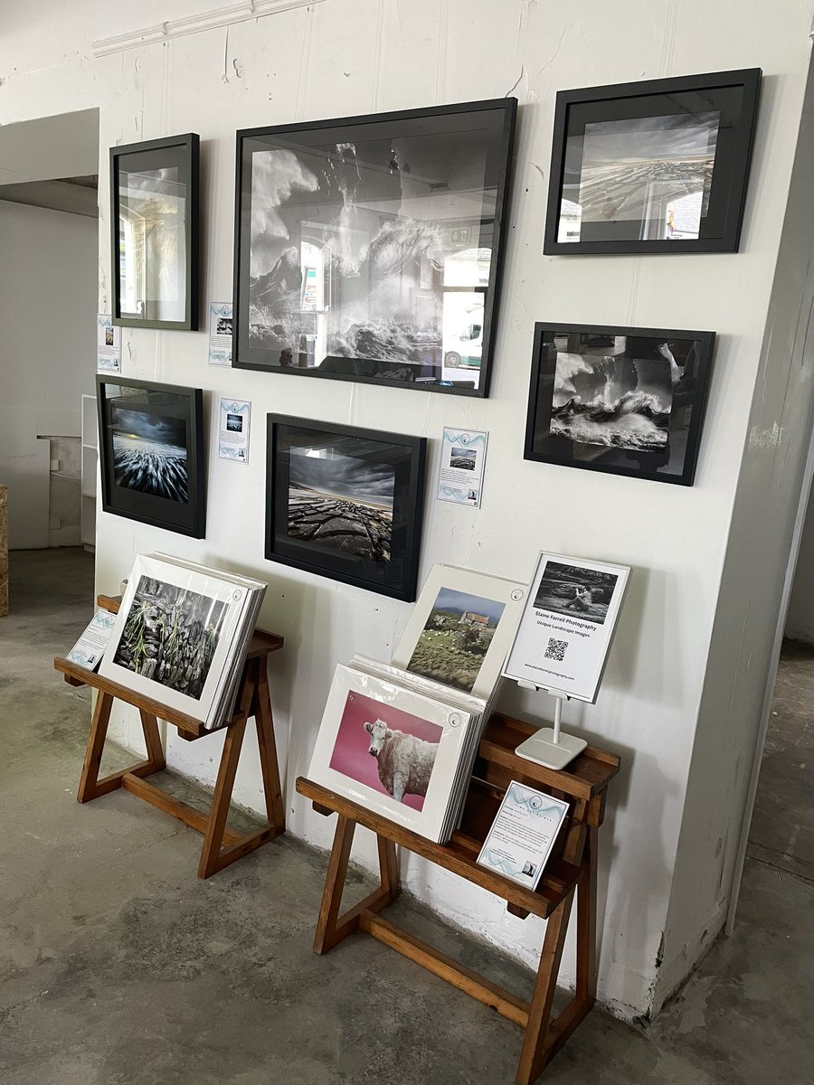 Elaine Farrell Photography tweet media