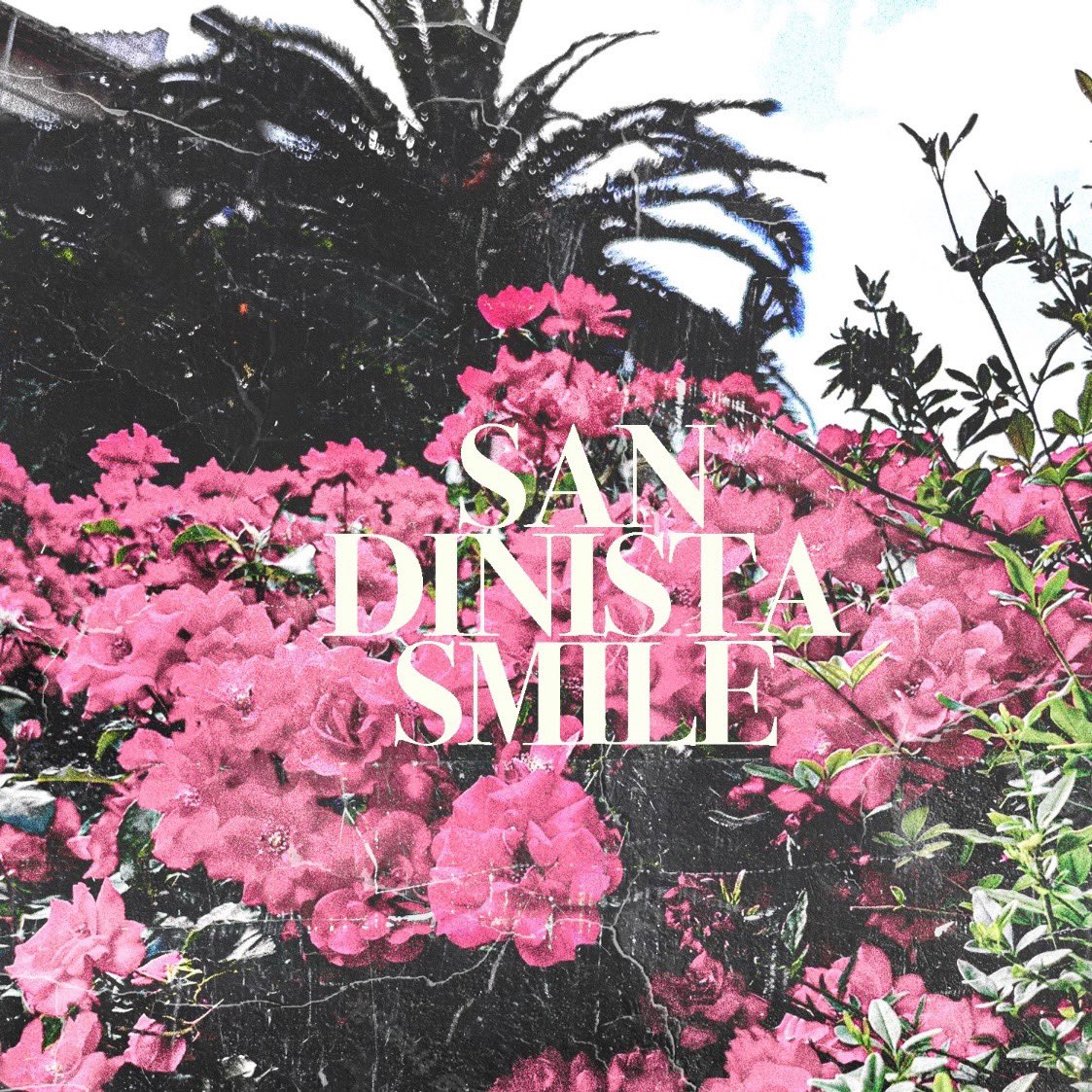 rock and roll photos (@yesitsmyaccount) on Twitter photo Summer banger just dropped.
“Sandinista Smile” by <a href="/Animal_Scream/">Animal Scream</a> featuring Ames Harding & The Mirage
open.spotify.com/album/3FTrJDta… Summer banger just dropped.
“Sandinista Smile” by <a href="/Animal_Scream/">Animal Scream</a> featuring Ames Harding & The Mirage
open.spotify.com/album/3FTrJDta…