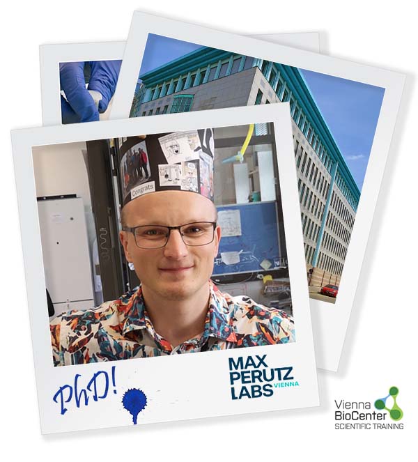 Vienna BioCenter Scientific Training (@trainingvbc) on Twitter photo Congrats to Tsimafei Navalayeu PhD (<a href="/AmeresSL/">Stefan L Ameres</a> Lab, <a href="/MaxPerutzLabs/">Max Perutz Labs Vienna</a>), who recently defended his thesis: 'Functions, proteostatic control, and cellular assembly of RNA exosome subunits in mouse embryonic stem cells' - Well done! 🥂🍾 <a href="/univienna/">Universität Wien</a> <a href="/IMPvienna/">IMP</a> <a href="/IMBA_Vienna/">IMBA imbavienna.bsky.social</a> <a href="/gmivienna/">GMI Vienna gmivienna.bsky.social</a> Congrats to Tsimafei Navalayeu PhD (<a href="/AmeresSL/">Stefan L Ameres</a> Lab, <a href="/MaxPerutzLabs/">Max Perutz Labs Vienna</a>), who recently defended his thesis: 'Functions, proteostatic control, and cellular assembly of RNA exosome subunits in mouse embryonic stem cells' - Well done! 🥂🍾 <a href="/univienna/">Universität Wien</a> <a href="/IMPvienna/">IMP</a> <a href="/IMBA_Vienna/">IMBA imbavienna.bsky.social</a> <a href="/gmivienna/">GMI Vienna gmivienna.bsky.social</a>