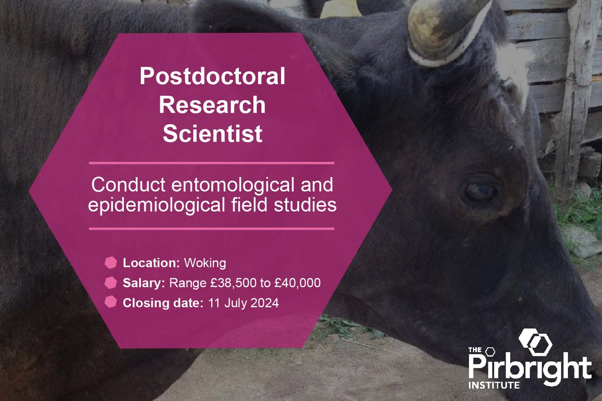 JOB: We're looking for a Postdoctoral Research Scientist to research the main drivers of lumpy skin disease virus (LSDV) infection.

The role is based at The Pirbright Institute with travel to India as required.

Apply now ➡️ow.ly/ci4650SrBpw