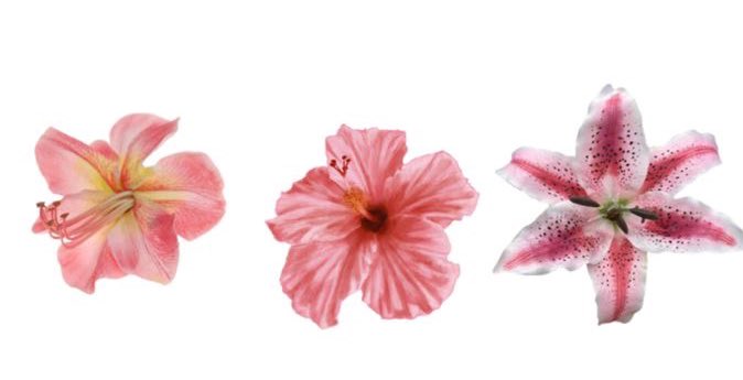 prtygal777's tweet image. 