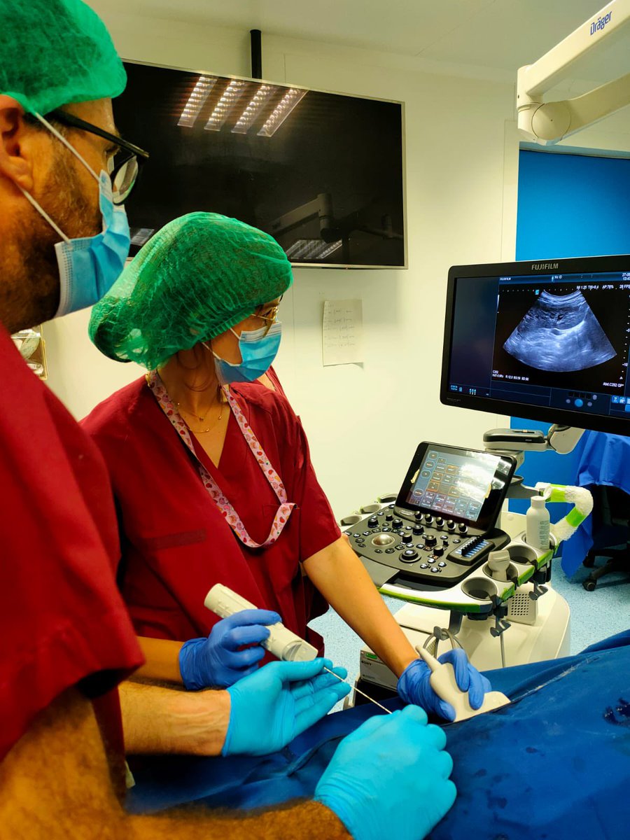 Desde Nefrología también hemos tenido la oportunidad de aprender y practicar en el “ IX Curso de Actualización en Endourología”, incorporando modelo animal de hidronefrosis y biopsia renal🫘💉 
Muchas gracias por contar con nosotros 😊 <a href="/UrologiaLaFe/">UrologiaLaFe</a>