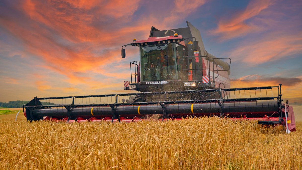 Гомсельмаш tweet media