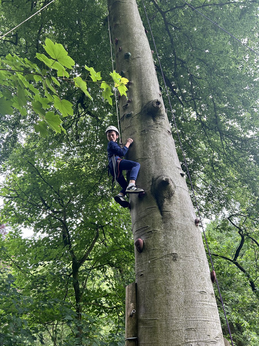 Our final activity at camp. Tree climbing! We were all very brave!