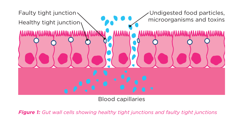 Trident MicroNutri tweet media