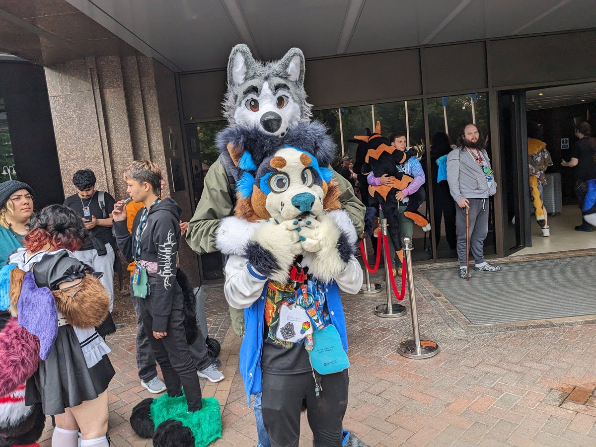 Let's see if I can hide behind <a href="/CollieBenny/">Benny</a>.  Hmm, doesn't seemm to be work.

#FursuitFriday #CFZ24 #CFZ