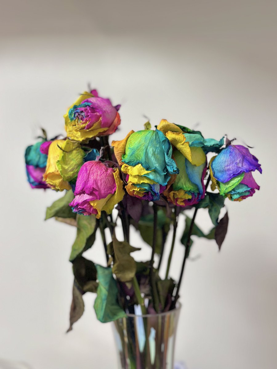 無限の薔薇は時が満ちても美しいのう
ありがとう！