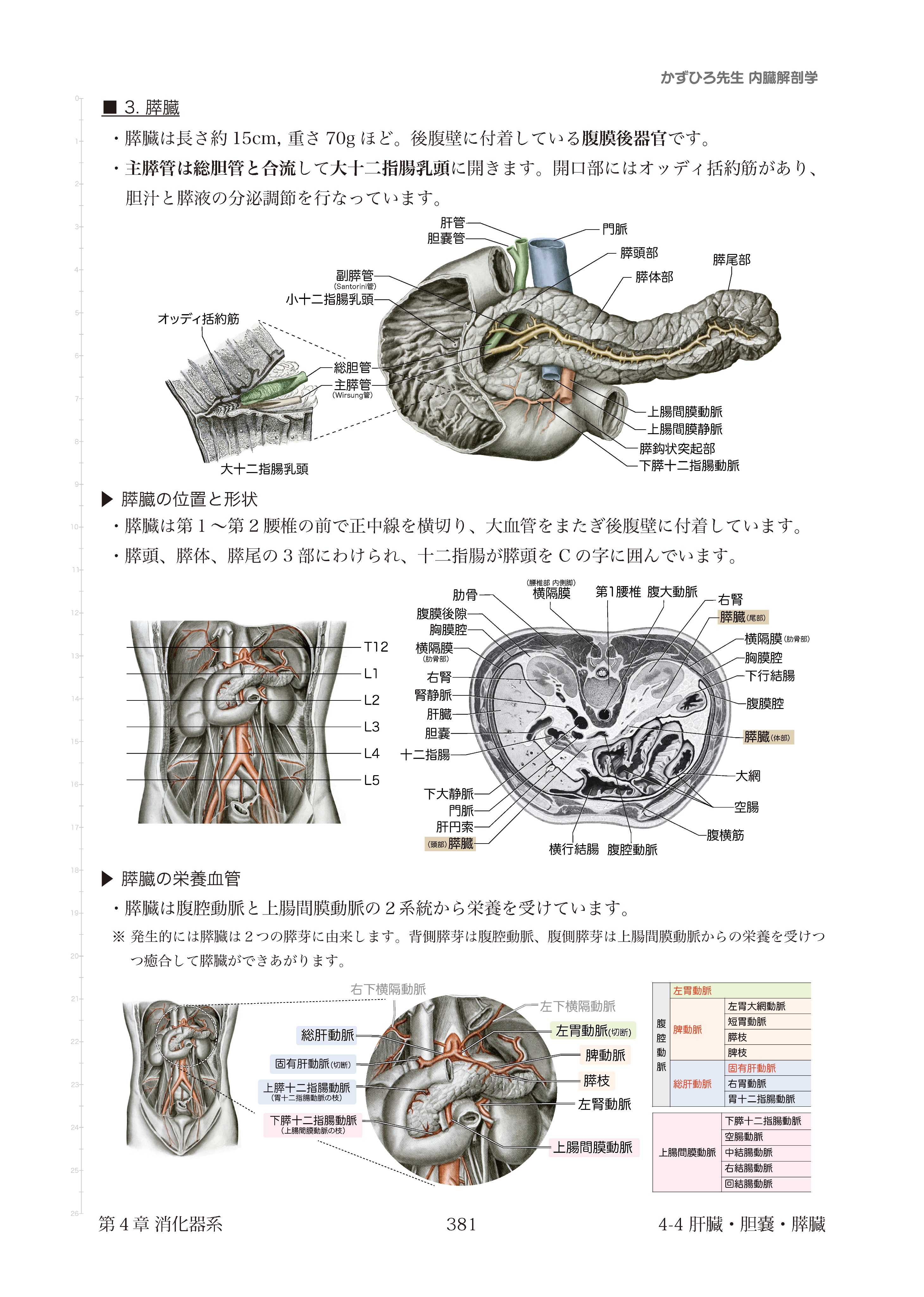 家畜血液図説 家畜比較解剖図説 下 - 株式会社 養賢堂