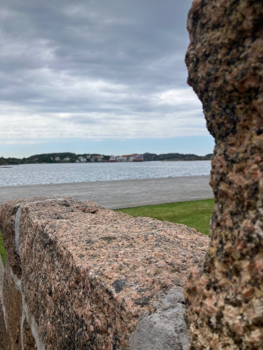 Reading of Antifouling panels, End June at Kristineberg Marine Station