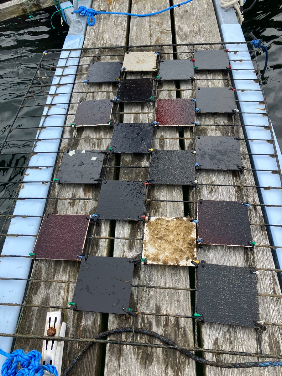 Lena Granhag tweet media