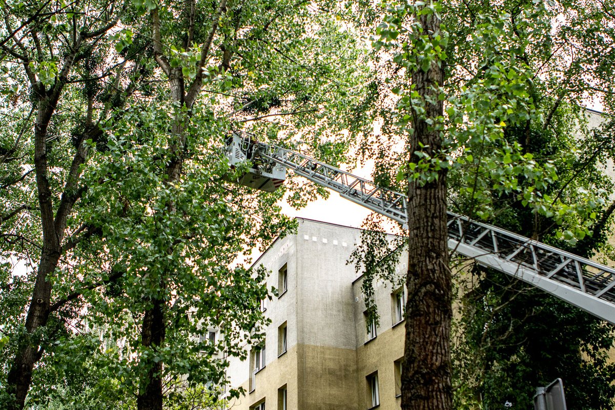 haloursynowpl's tweet image. Interwencja straży pożarnej na Dembowskiego. Administratorka osiedla dostrzegła coś niepokojącego. haloursynow.pl/pl/11_wiadomos… #ursynow