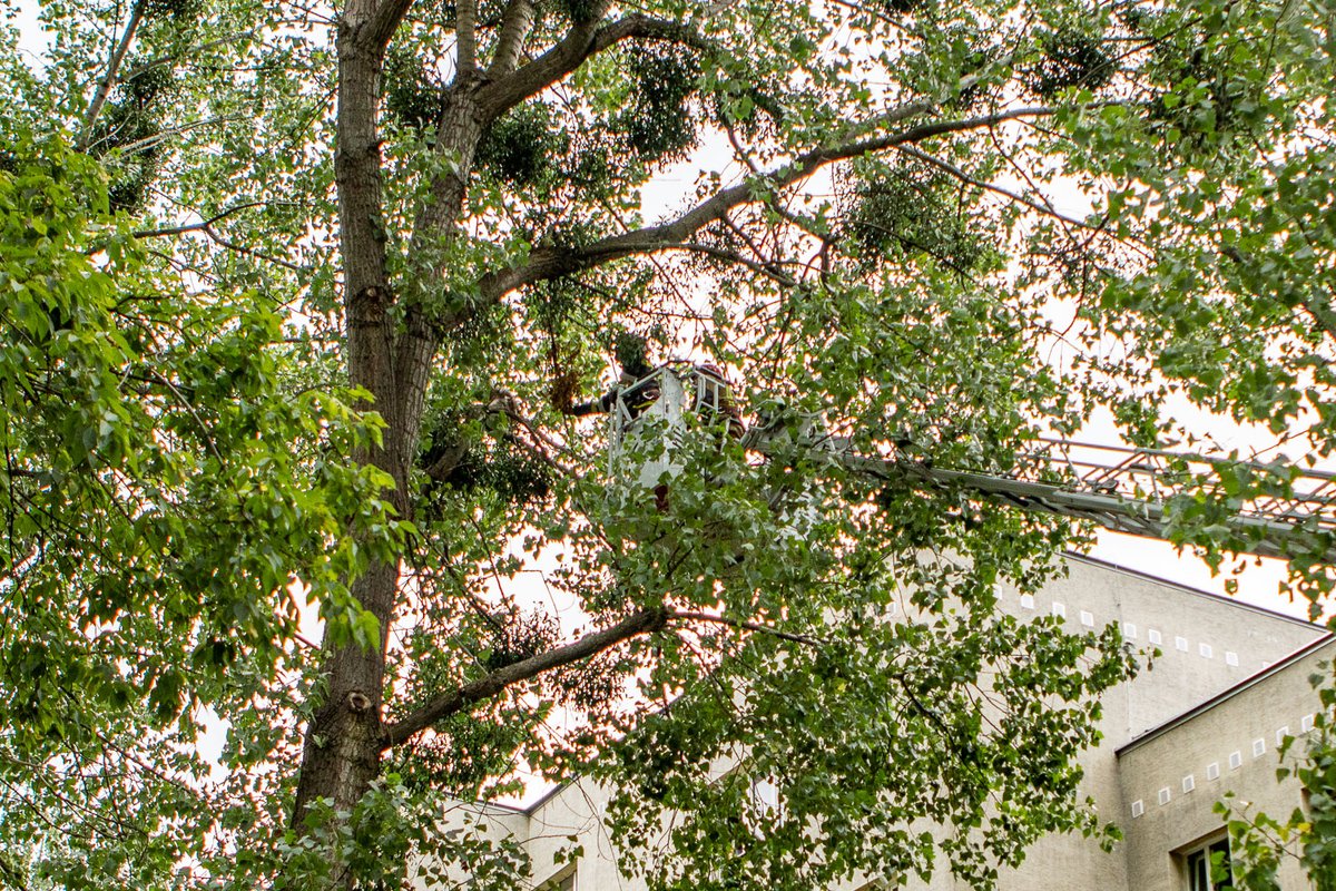 haloursynowpl's tweet image. Interwencja straży pożarnej na Dembowskiego. Administratorka osiedla dostrzegła coś niepokojącego. haloursynow.pl/pl/11_wiadomos… #ursynow