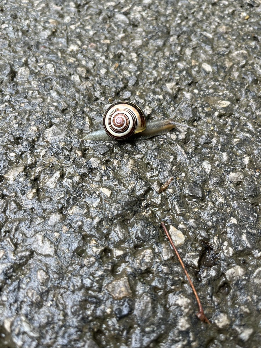 M. Welch-Devine is on Bsky @mwdevine.bsky.social tweet media