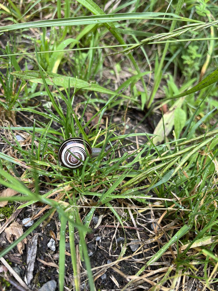 M. Welch-Devine is on Bsky @mwdevine.bsky.social tweet media