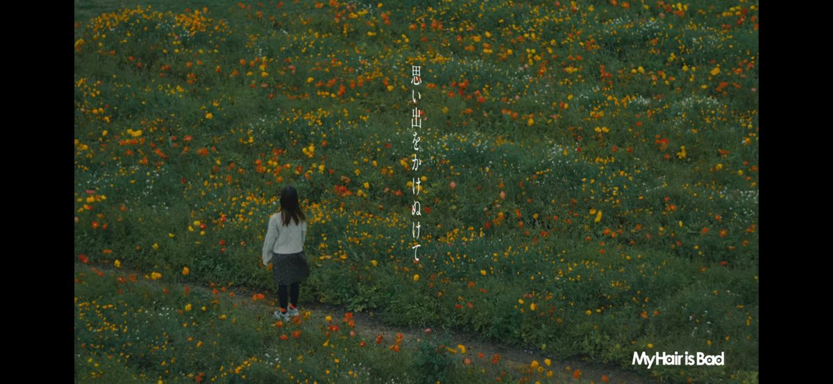 __nipasuta's tweet image. 変化していく生活と共に音楽からも自然と離れた。まだ耳にしていない新曲が追加される度遠くなる。
今日YouTubeの一番上に出てきた曲を久々に聞いただけでフェスでの「お昼ご飯はこのバンドの合間で食べよう」だとかライブが始まる瞬間の周りが一気にシンとする雰囲気を思い出して懐かしくなってる。