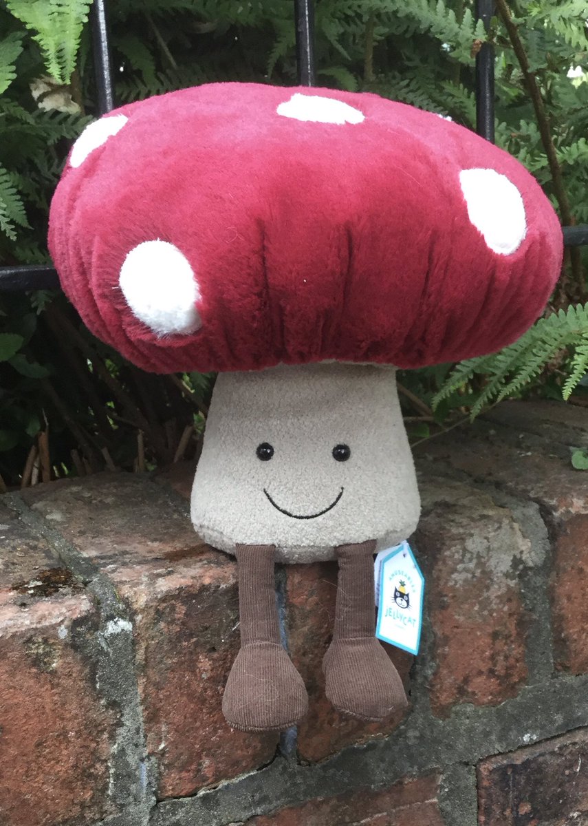 Knock knock. Who’s there? Fun. Fun who? Fungi!!!! 🍄