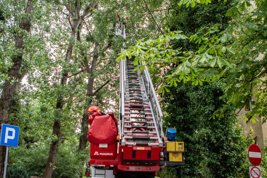 MiastoUrsynow's tweet image. Interwencja straż pożarnej 🧑🏻‍🚒👨🏻‍🚒 na #Dembowskiego. Administratorka osiedla wezwała służby z powodu naderwanych gałęzi wiszących na drzewie. Czujność pracownicy spółdzielni być może uchroniła sąsiadów od niebezpieczeństwa w czasie nadchodzących burz…haloursynow.pl/pl/11_wiadomos…
