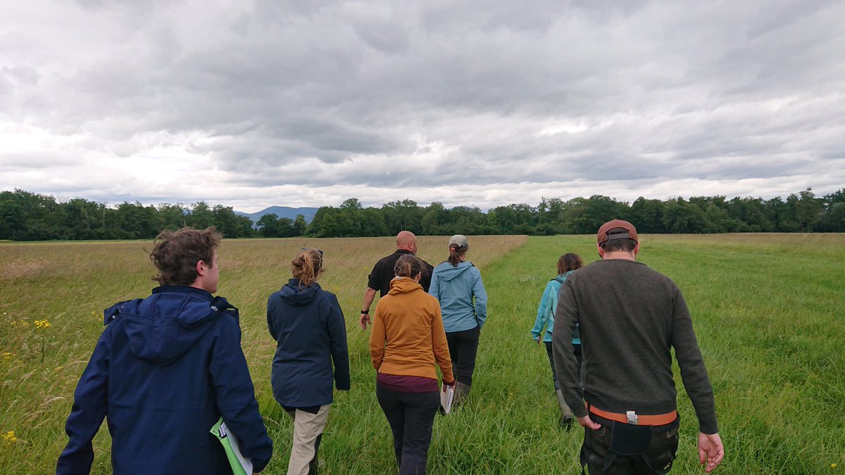 UMR_LIVE's tweet photo. Retour en images de la première visite des sites pilotes pour l'équipe du projet @InterregRSOR GRETA avec les équipes du @BRGM_fr porteurs du projet. Un grand merci aux équipes du CEN Alsace pour cette collaboration, travailler sur vos sites est un privilège !🦋🌸🦗🌿 https://t.co/5jq9hPa0mV