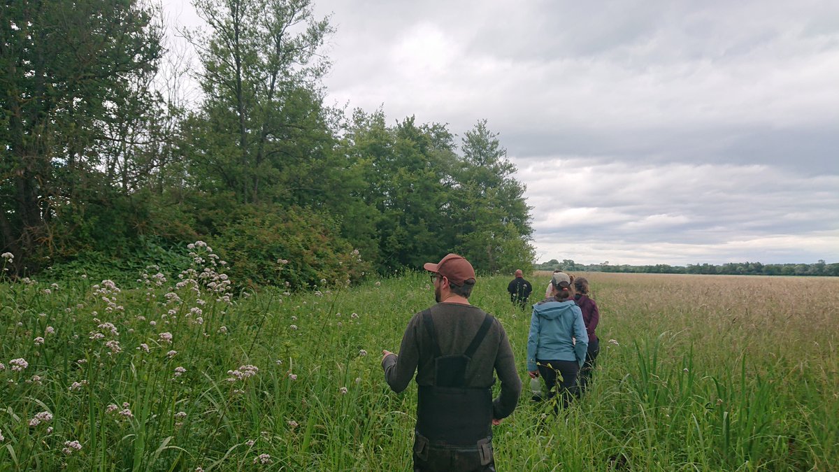 UMR_LIVE's tweet photo. Retour en images de la première visite des sites pilotes pour l'équipe du projet @InterregRSOR GRETA avec les équipes du @BRGM_fr porteurs du projet. Un grand merci aux équipes du CEN Alsace pour cette collaboration, travailler sur vos sites est un privilège !🦋🌸🦗🌿 https://t.co/5jq9hPa0mV