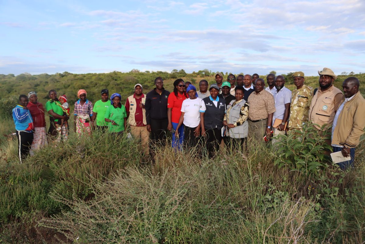 Resource Conflict Institute tweet media