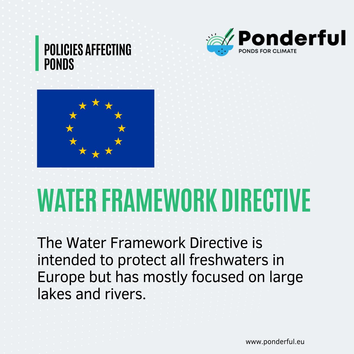 ponds4climate's tweet image. The #WaterFrameworkDirective is intended to protect all freshwaters in Europe but focuses on large lakes and rivers.

📢 Coming soon: the #PONDERFUL policy guidance document will give advice on drafting national plans to protect small waterbodies.