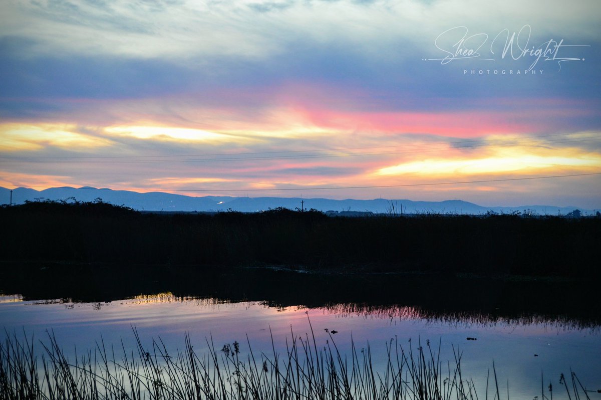 Sheatography's tweet photo. Happy Friday! A Birds Landing/Collinsville Sunset. Shot from the levee over the canal where I grew up fishing and swimming. Home & memories. I hope you all have a fantastic weekend!
#birdslanding #collinsville #sunsetvibes #sunsetoverwater #bayareaphotography #riovista https://t.co/QZtdEO40ny