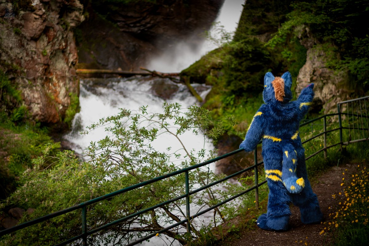 #FursuitFriday and a warm weekend is ahead of us. Remember to stay hydrated. So drink plenty or take a refreshing bath.

#furry
#fursuit

🪡 @vino_studios
📸 <a href="/CiferJackal/">Cifer♦Jack♠️Darcus</a>