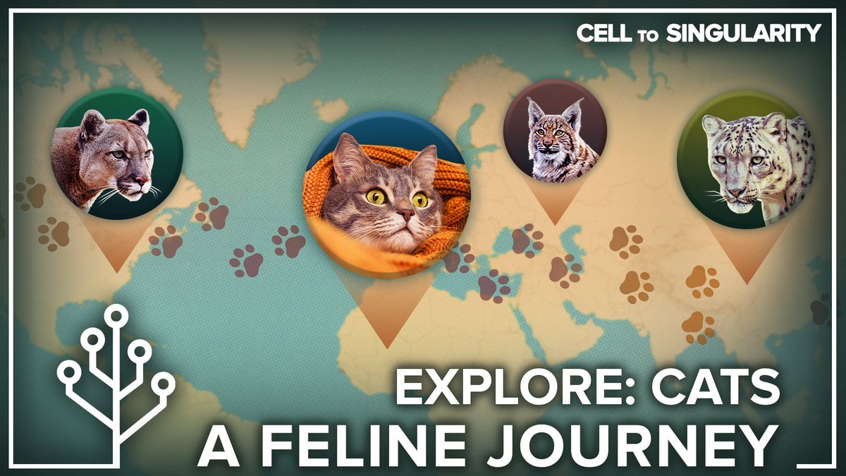 Cell to Singularity tweet media