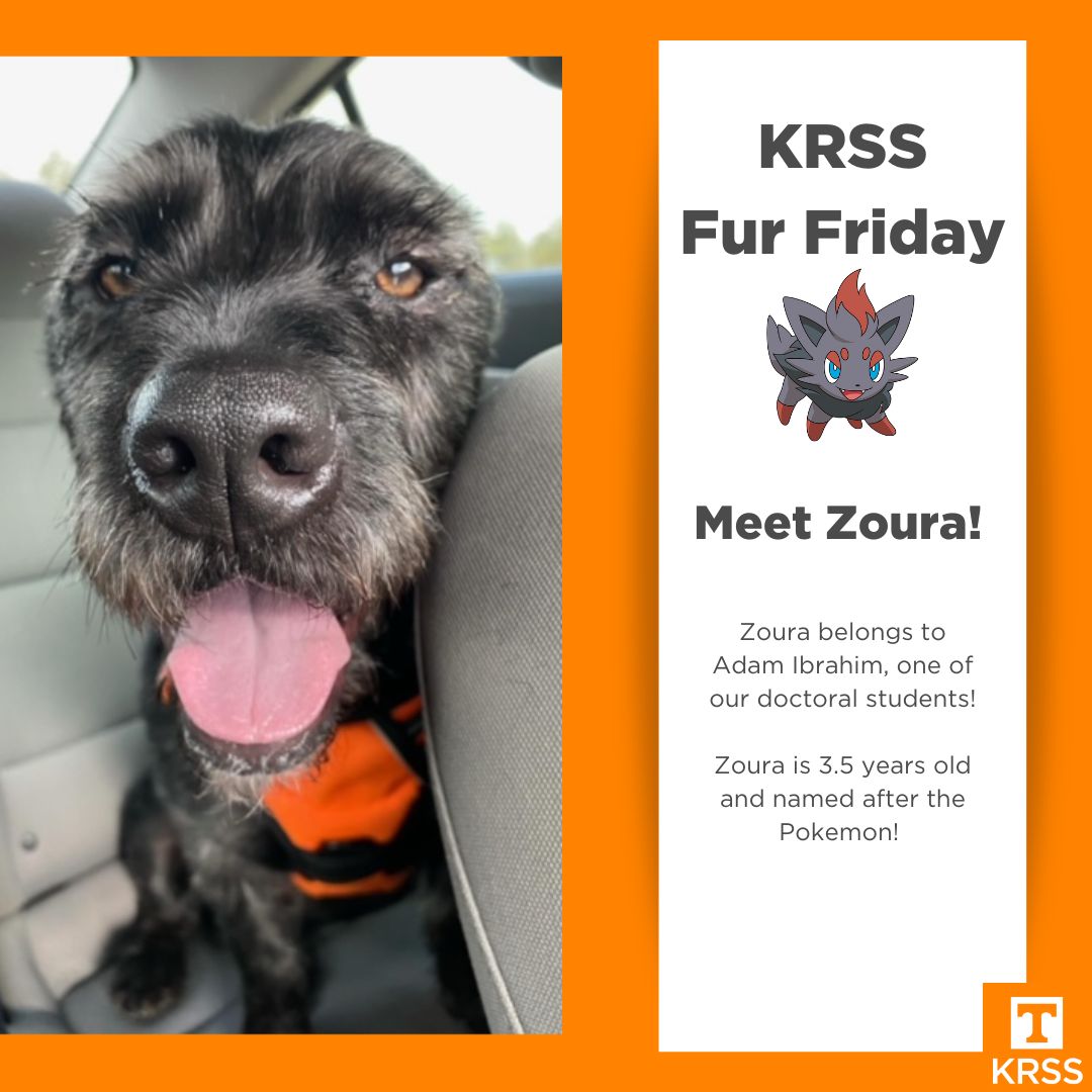 UTK_KRSS's tweet photo. Zoura is a #TinyButMighty 3.5 year old named after Pokemon! She's the perfect addition to our #FurFriday posts. Take a look at her and her owner, Adam, on their adventures!
#KRSS #UTKnoxville #GBO https://t.co/wdstOrqUSy