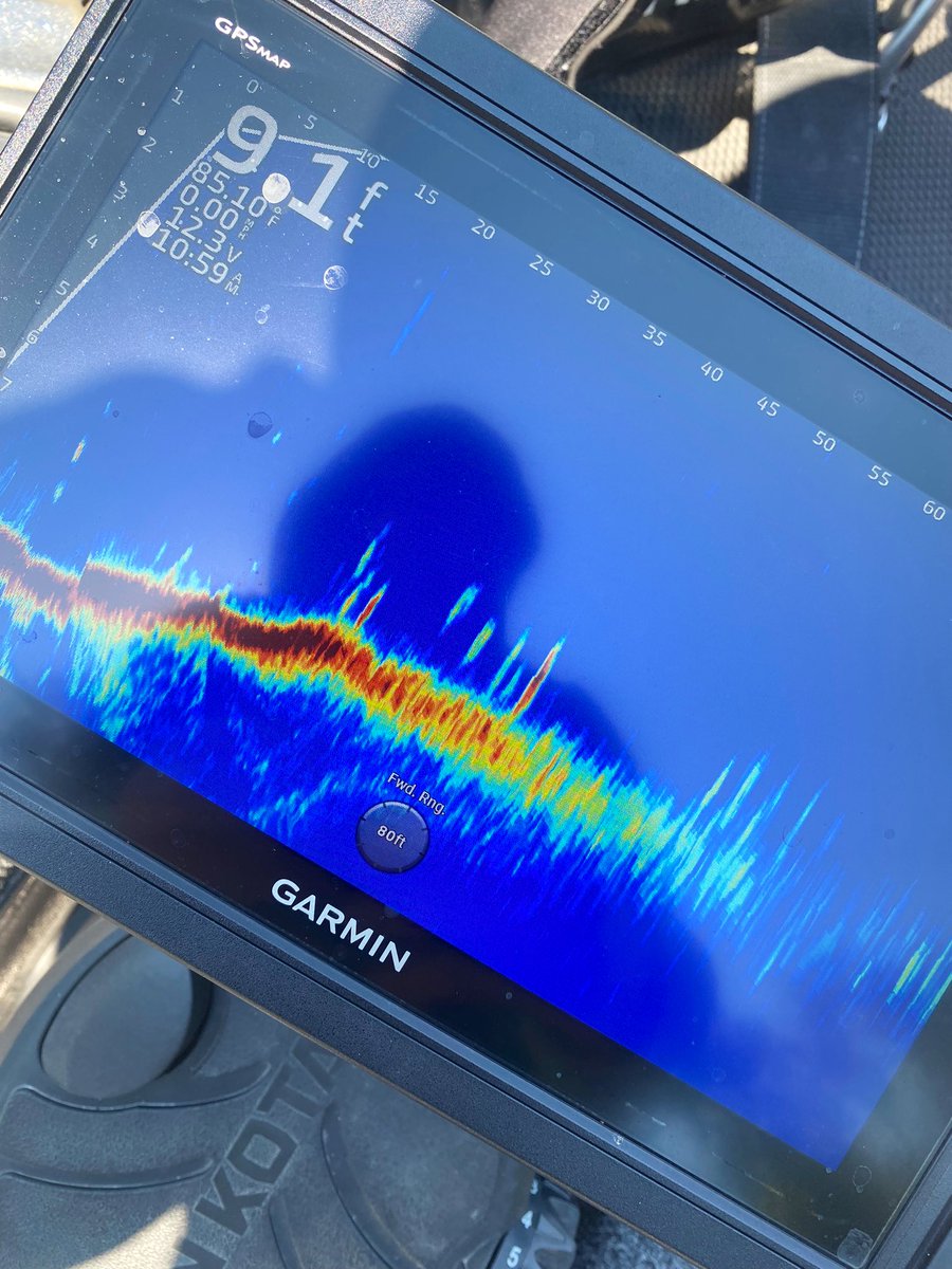 Jason Pittman tweet media