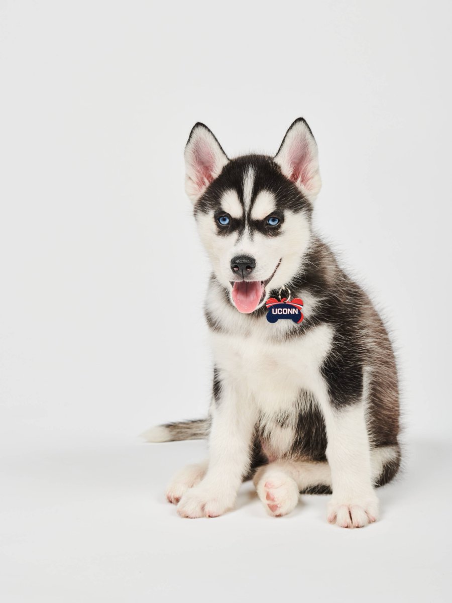 UConn tweet picture