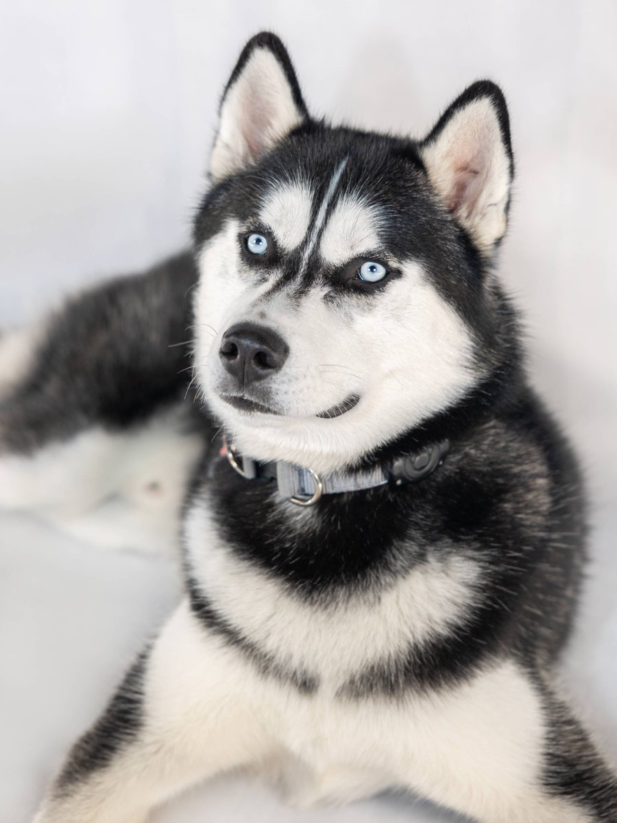 UConn tweet picture