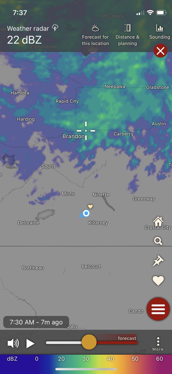 Frenchman212's tweet photo. The radar trying to make us feel better? It is in fact raining https://t.co/xOU8t7rzh9