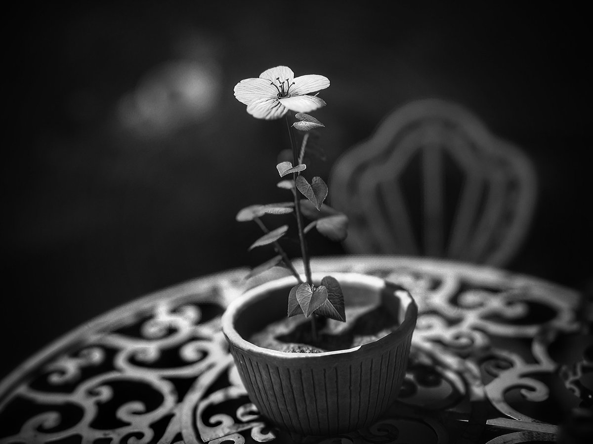 virtual_koda's tweet image. ALONE IN THE DARK

#VPinBW #VPisArt #VPMinimalism #MinimalFriday  #AloneInTheDark #VirtualPhotography