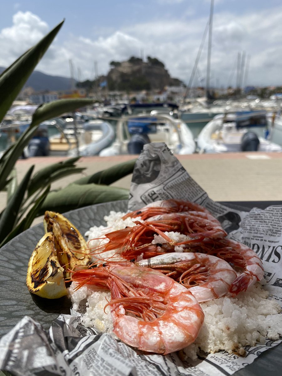 Morgan Jones 🏴󠁧󠁢󠁷󠁬󠁳󠁿🇪🇺 tweet media