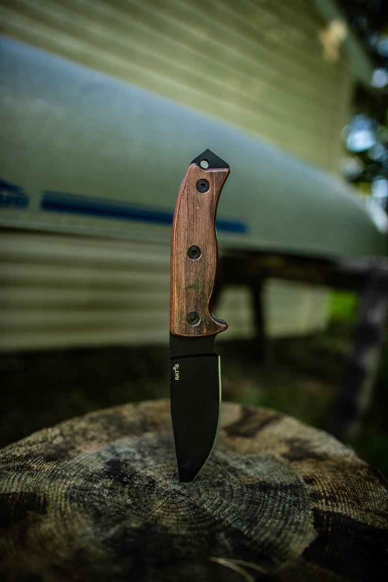 OntarioKnife's tweet photo. Not your average #RAT5! The #RAT5Adventurer boasts all the same specs as the standard but with an updated, hardwood handle! 👌🏽🔪🐀 #LegacyAdventureExplore #ontarioknifecompnay #OKC1889 #MadeinUSA #AllAmericanMaker #AmericanKnives #FixedBlade #FixedBladeFriday #Survival #Bushcraft https://t.co/slEl0NXYrA