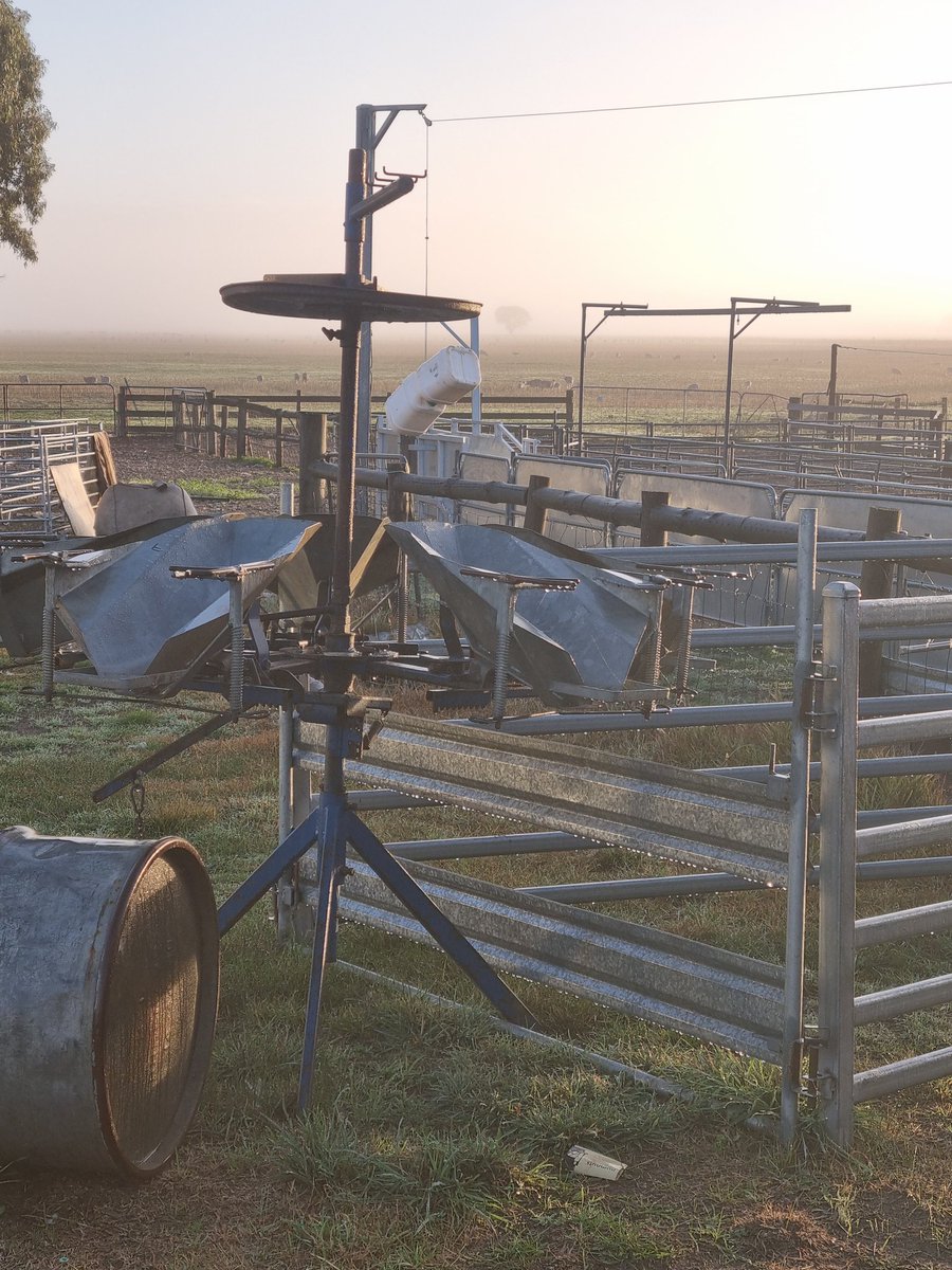 Robbie Bateman tweet media