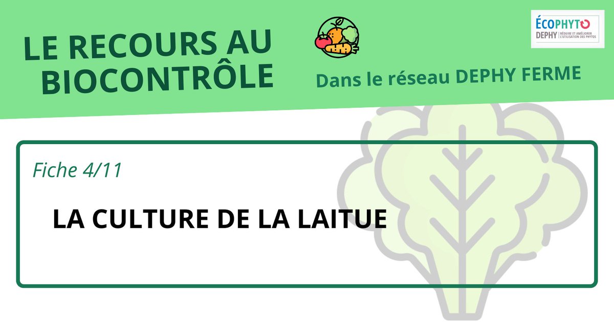 [Fiche #biocontrôle] La #laitue

Etude menée sur la culture de la laitue dans le réseau #DEPHY sur 701 systèmes de cultures
👉 39% menés en #AB
👉 En bio, 61% sous abris
👉 En conventionnel, 58% plein champ

A découvrir : cutt.ly/hea6DzLU
#maraichage #agriculture