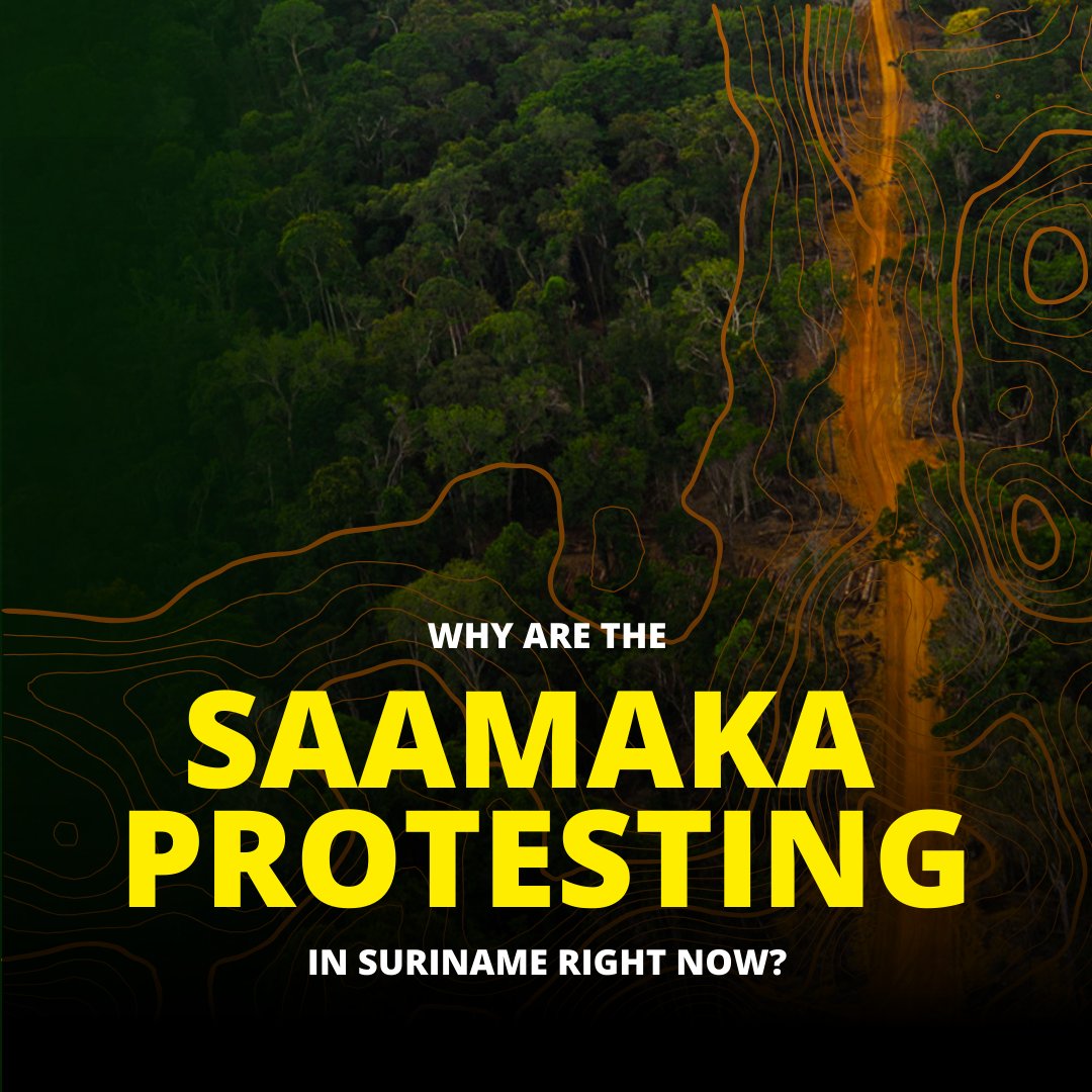 Land Coalition tweet media