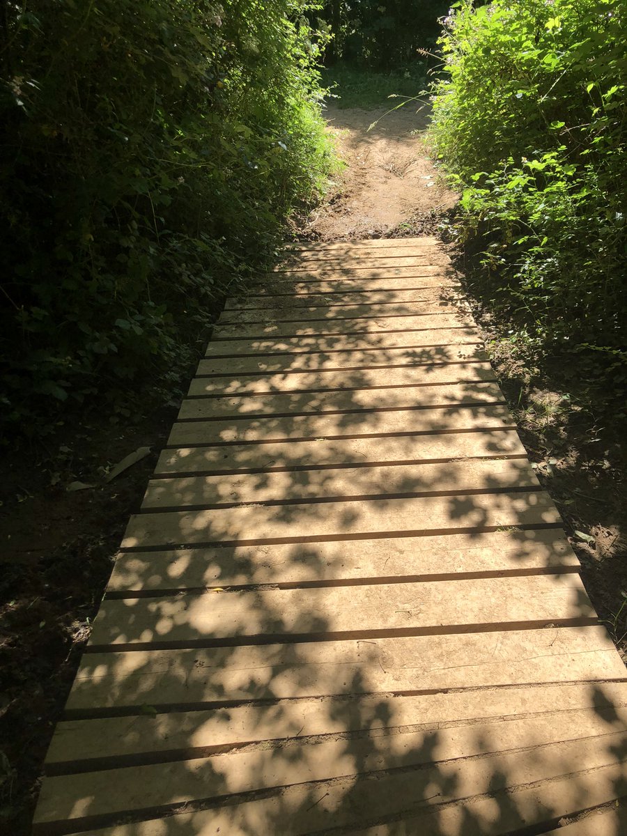 Angela Haymonds tweet media