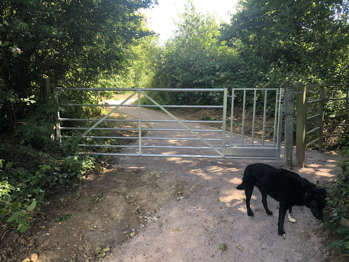 Angela Haymonds tweet media