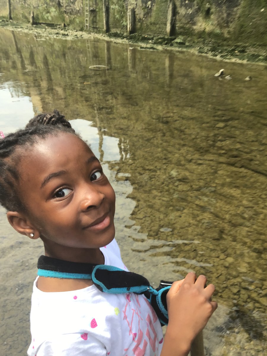 Discovery Primary School Year 3 tweet media