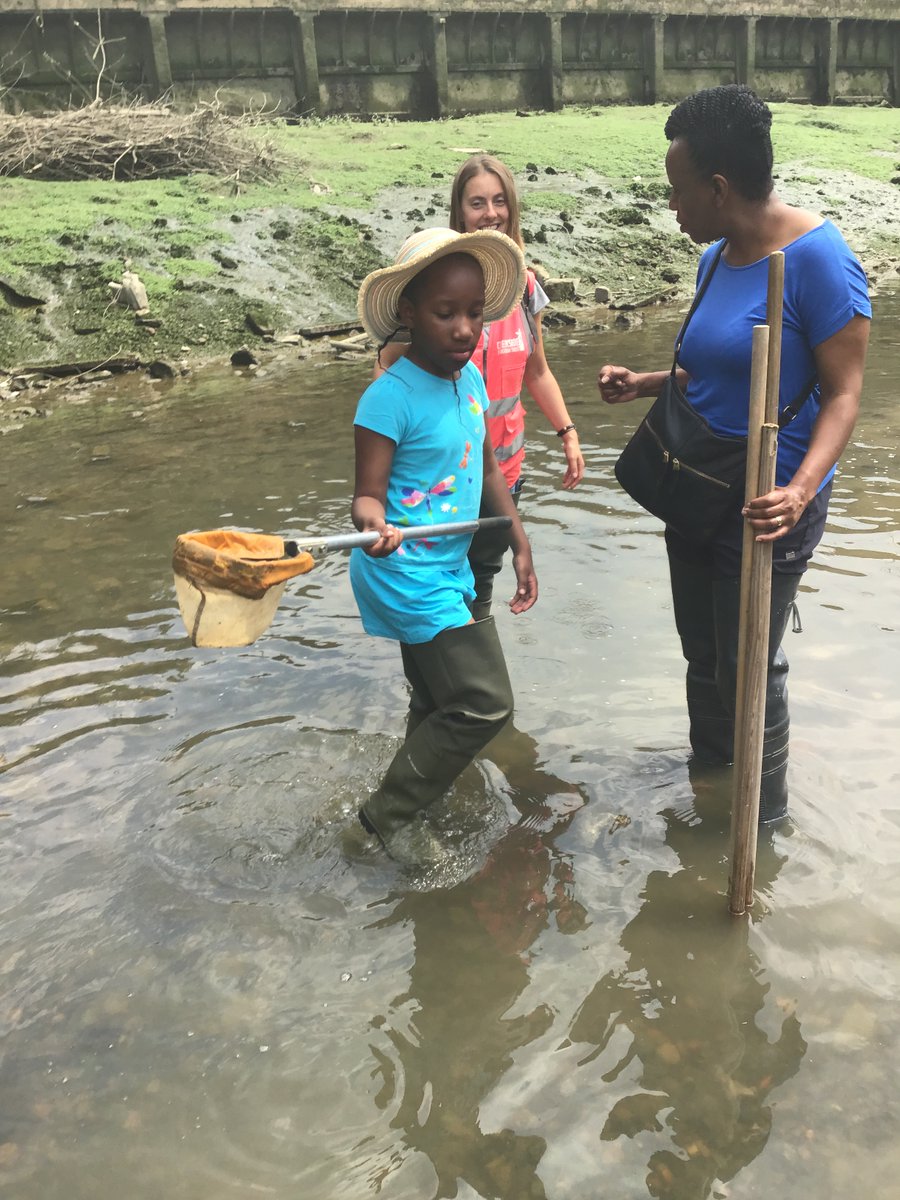 Discovery Primary School Year 3 tweet media