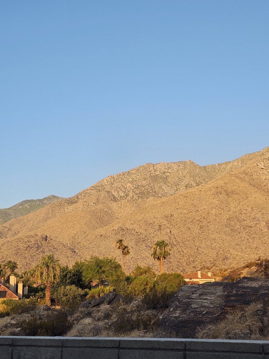 nomoretired2023's tweet image. Good morning from the desert. #Resting