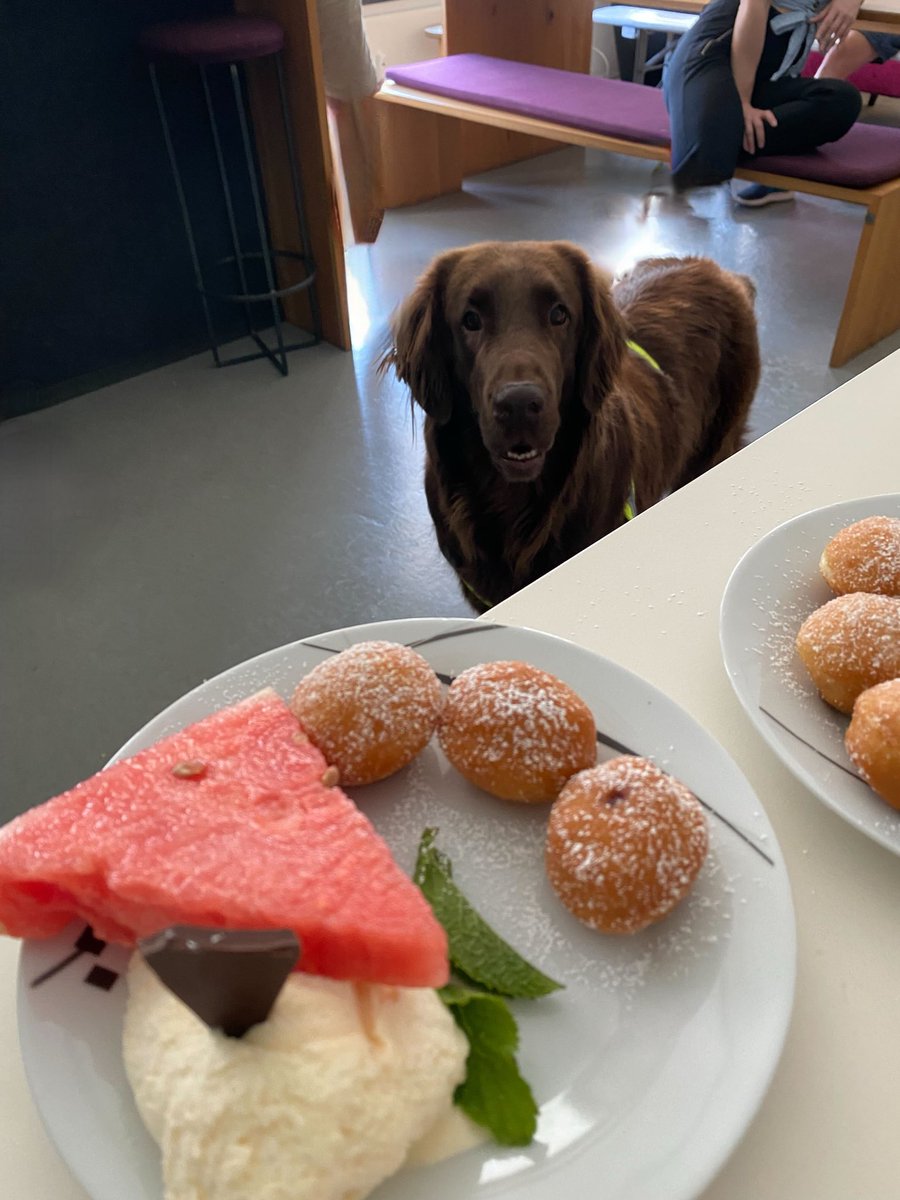 Reactive_News's tweet photo. Dessert time at Reactive Robotics!

Nothing better than enjoying some sweet treats at the office

🐾And of course, quality and performance are highly approved by our CHO - Chief Happiness Officer Charlotta https://t.co/ntpVMQQTHq