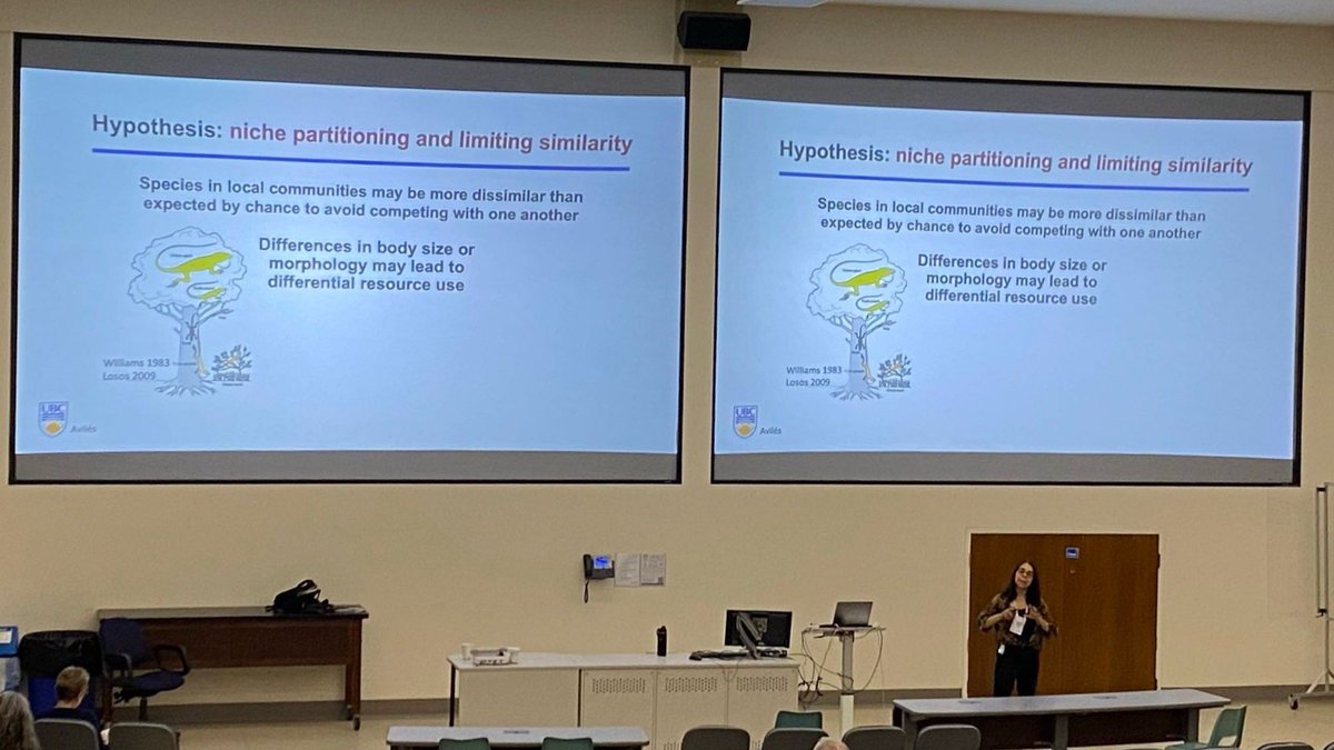 forwildanimals's tweet photo. In today’s #ABS2024 plenary, @DrLAviles explains that different levels of cooperation in spider colonies allow them to partition habitat resources effectively. How might individual welfare states drive similar ecological functions? https://t.co/JN7tnpRt4I